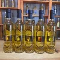 WhatsApp Image 2026-02-10 at 15.02.40 (2)