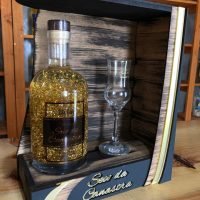 WhatsApp Image 2026-02-24 at 14.39.16